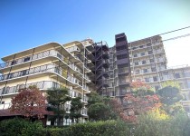 蓮根サンハイツ（売主）