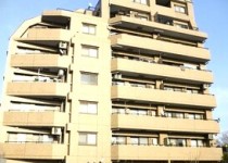セザール京王堀之内（売主）